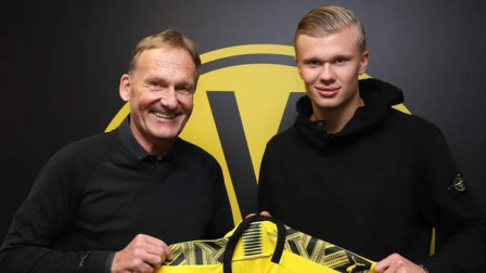 NBL最新季中锦标赛排名：破坏者和野猫前2，跳伞蚁升至第3